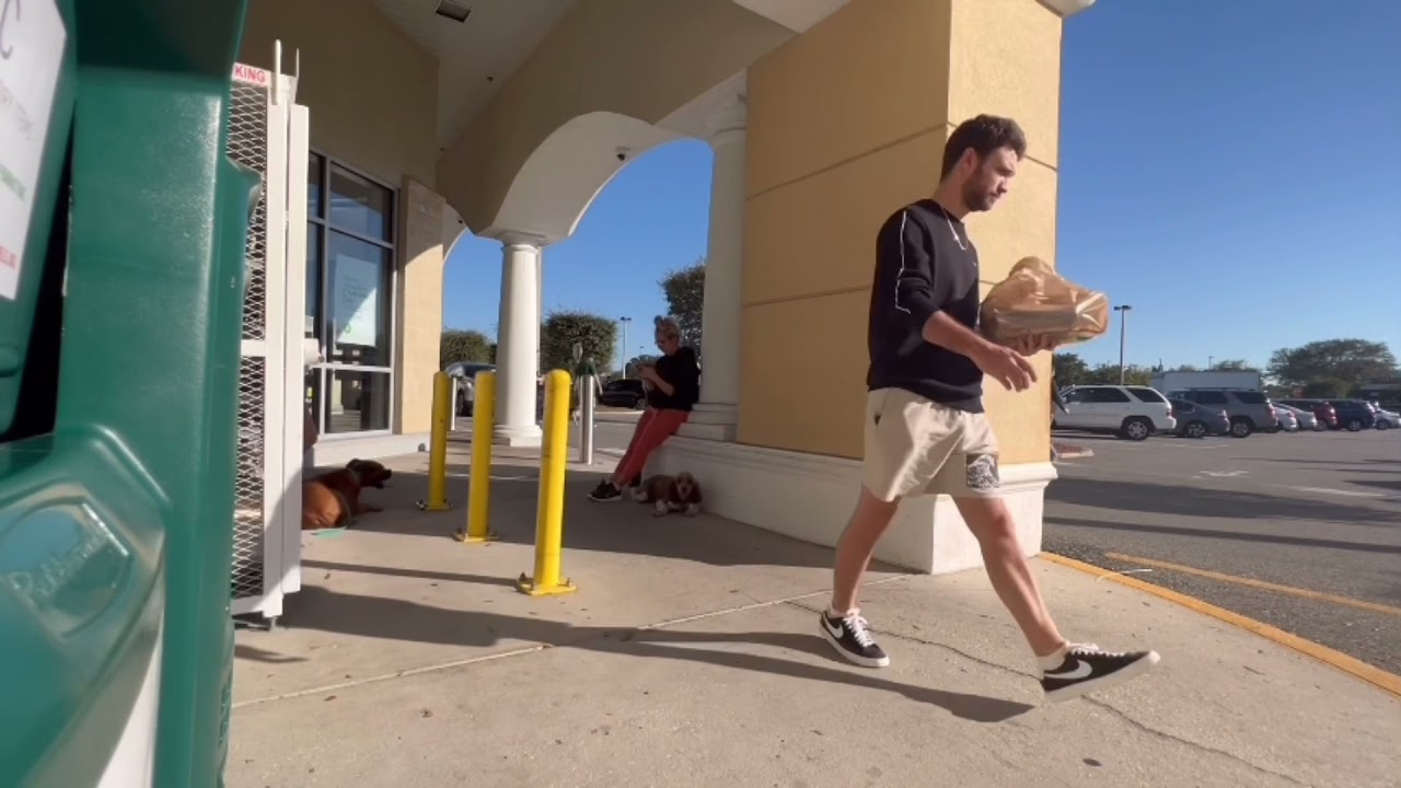 1&1/2 Year Old Standard Poodle “ Pierre “ | Melbourne Dog Trainers | Space Coast Dog Trainers