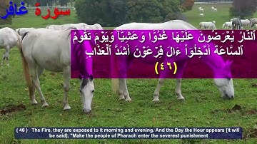 472  6  سورة غافر الاية 46  Translatorمترجم