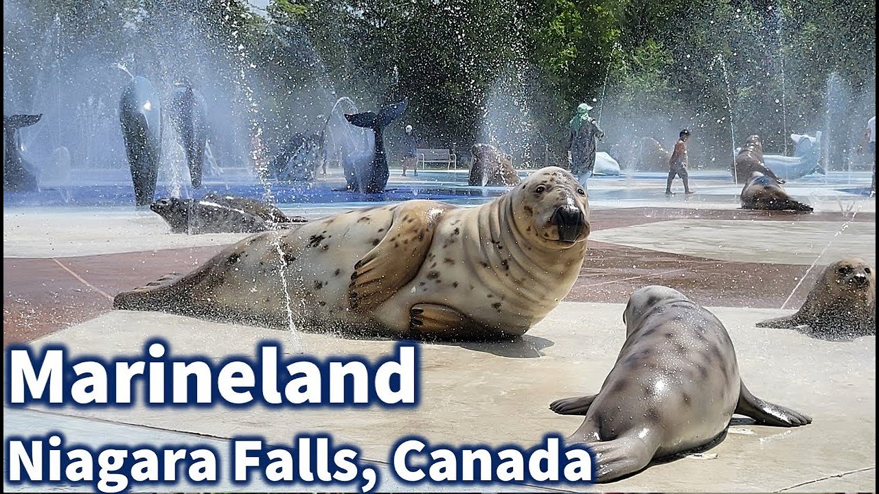 Marineland Park Niagara Falls Canada | Best Things to Do in Marineland | Attractions In Marineland
