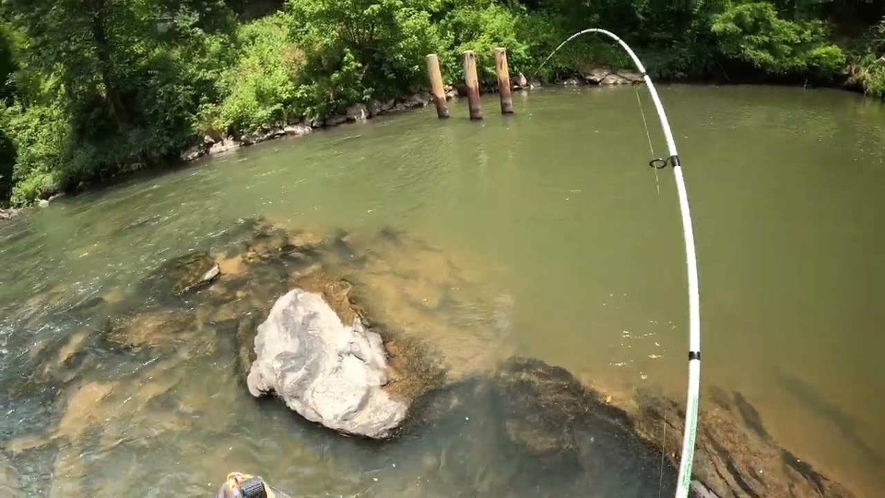 Shoal bass fishing with was a big splash surprise ￼