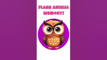 Train Your Brain! Fast Animal Recognition Memory Game | Boost Your Cognitive Skills