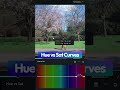 Fix Flat Spring Footage Fast 🌸 Cinematic Color Grading in Filmora