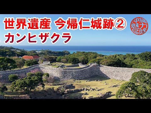 【世界遺産】今帰仁城跡のカンヒザクラを見に行った②城内下の御嶽・城内上の御嶽・今帰仁里主所火の神・カラウカー！