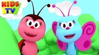 the flight of the butterfly song for children music for babies kids tv