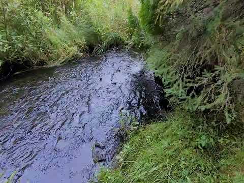 YouTube thumbnail for Five Minute Creek Calm