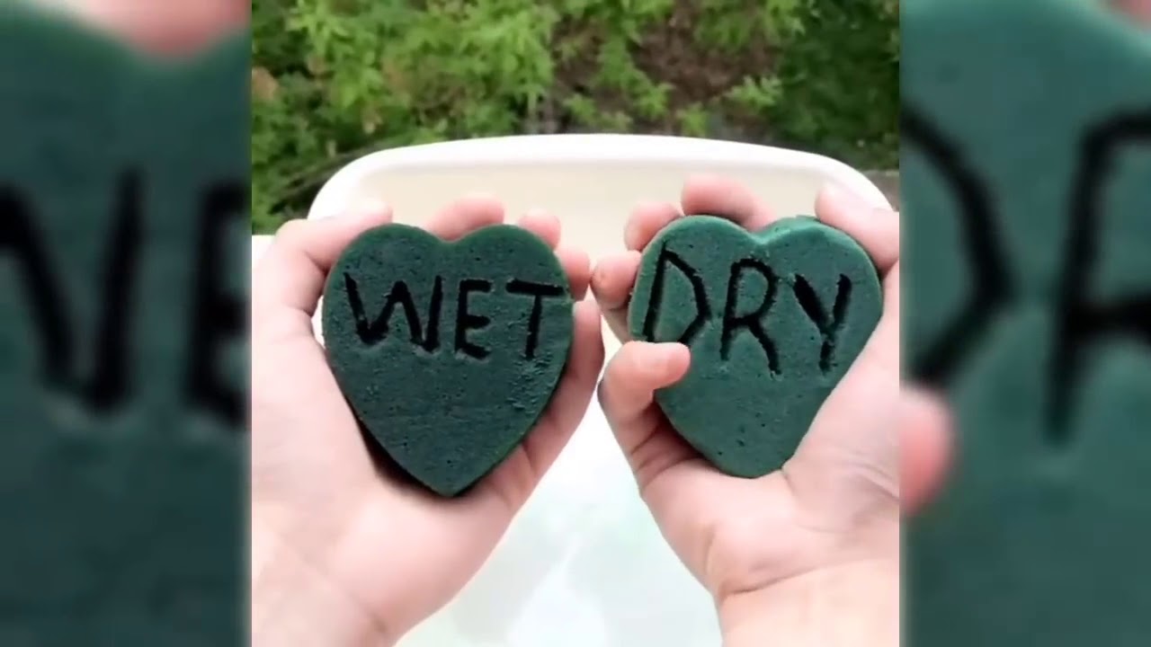 Wet Floral Foam Crushing 2018 ASMR