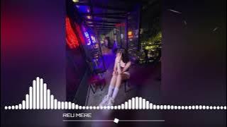 IRT_JOGET_VIRAL‼️REU MERE_(ADRIVELSOUND)_2025
