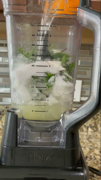 Mint Lemonade