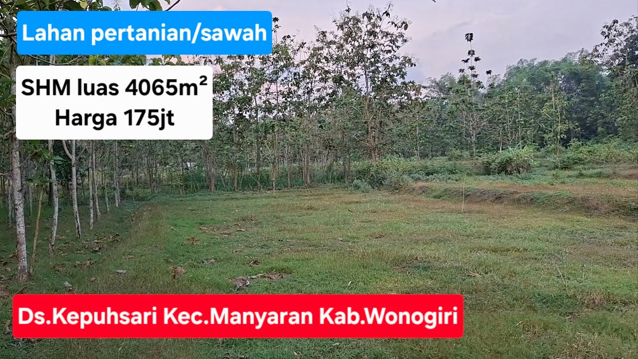 Dijual lahan pertanian/sawah SHM luas 4065m².Hrg 175jt.Lok Ds.Kepuhsari Kec.Manyaran Kab.Wonogiri