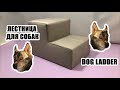 ЛЕСТНИЦА ДЛЯ СОБАК / DOG LADDER