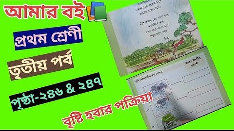 Amar Boi Class 1 Part 3 page 246 & 247 @primaryschooleducation34
