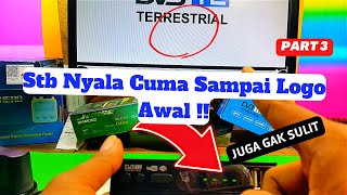 Stb T2 Nyala Berhenti Sampai logo || Gak Sampai Menu Siaran