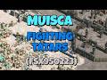 MUISCA ft. Brian, 勇战到底 &amp; I_ALMIGHTY_I vs. fsx950223, Happy, pxj140 &amp; Fire... | DM Michi | AoE2 DE