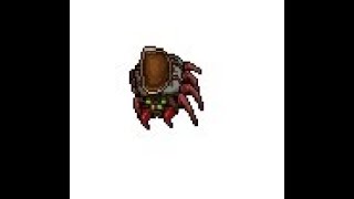 Domar montaria Widow Queen - Drop e Domar - Arinar Tibia