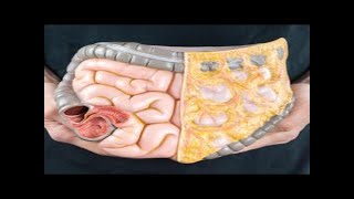 How Long Does Digestion Take? Tips For Better Digestion