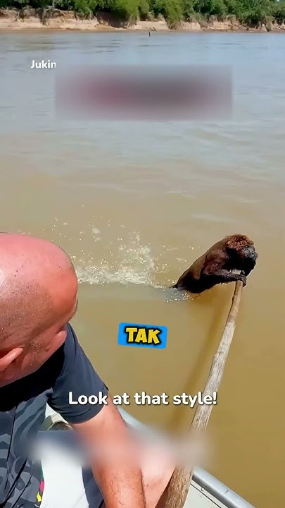 Спасли ОБЕССИЛЕННУЮ Обезьяну🐒🥲 - YouTube