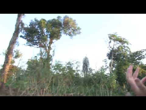 Mozambique Happy Hour