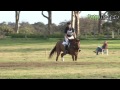 Eventing How to ride the perfect cross country course.