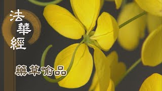 【靜思妙蓮華】法華經藥草喻品 - 五大之恩 天地之德 - 20210628 第874集
