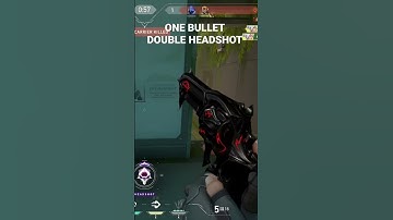 one bullet double headshot