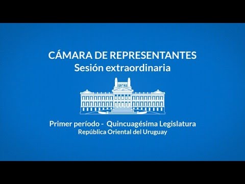 Cámara de Representantes. Sesión extraordinaria. Martes 12 de agosto de 2025, hora 10:00. Parte 2.