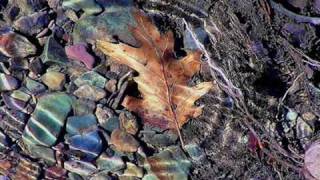 Morgana King - Desert Hush / I Am A Leaf