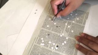 Peppered Moth Demo