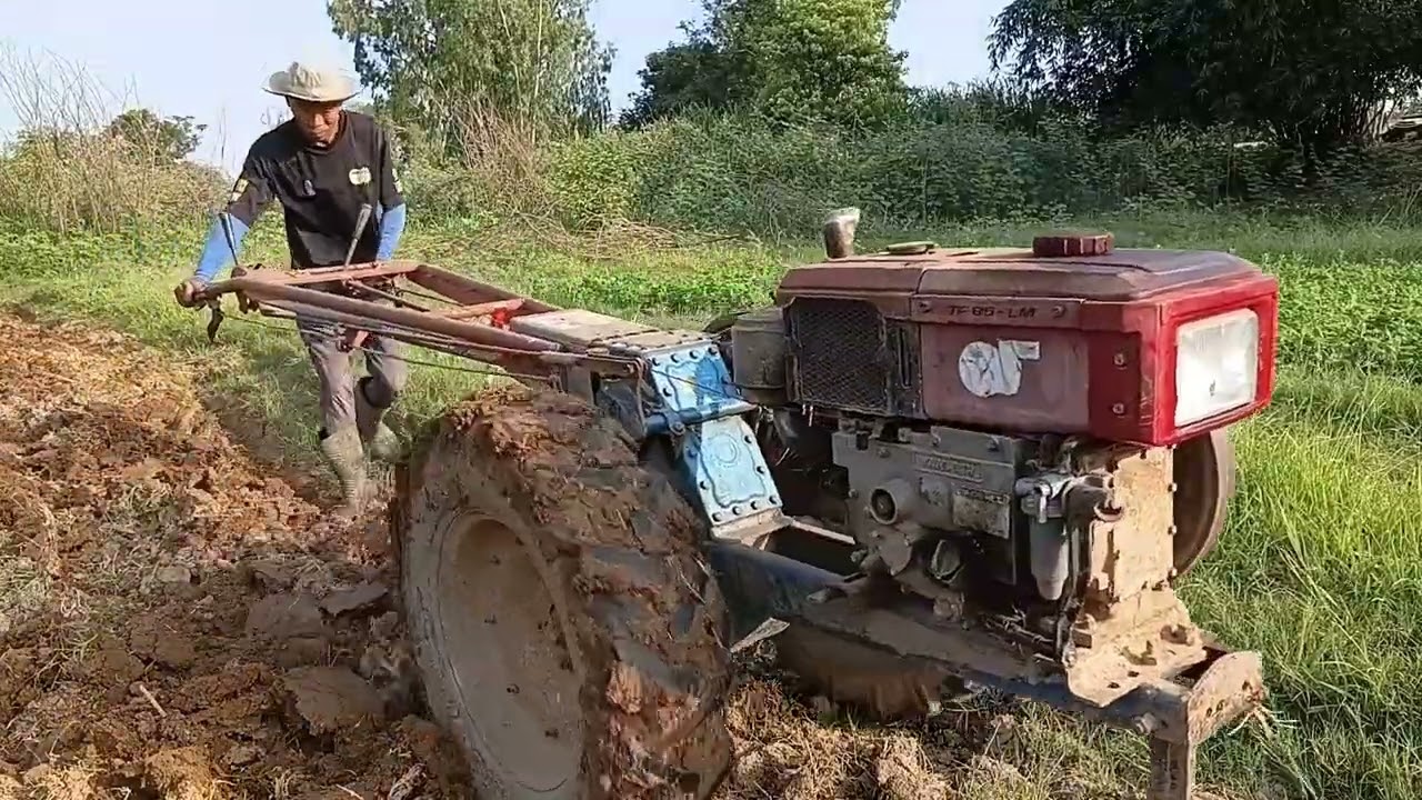 ถั่วลิสงไร้น้ำปี69