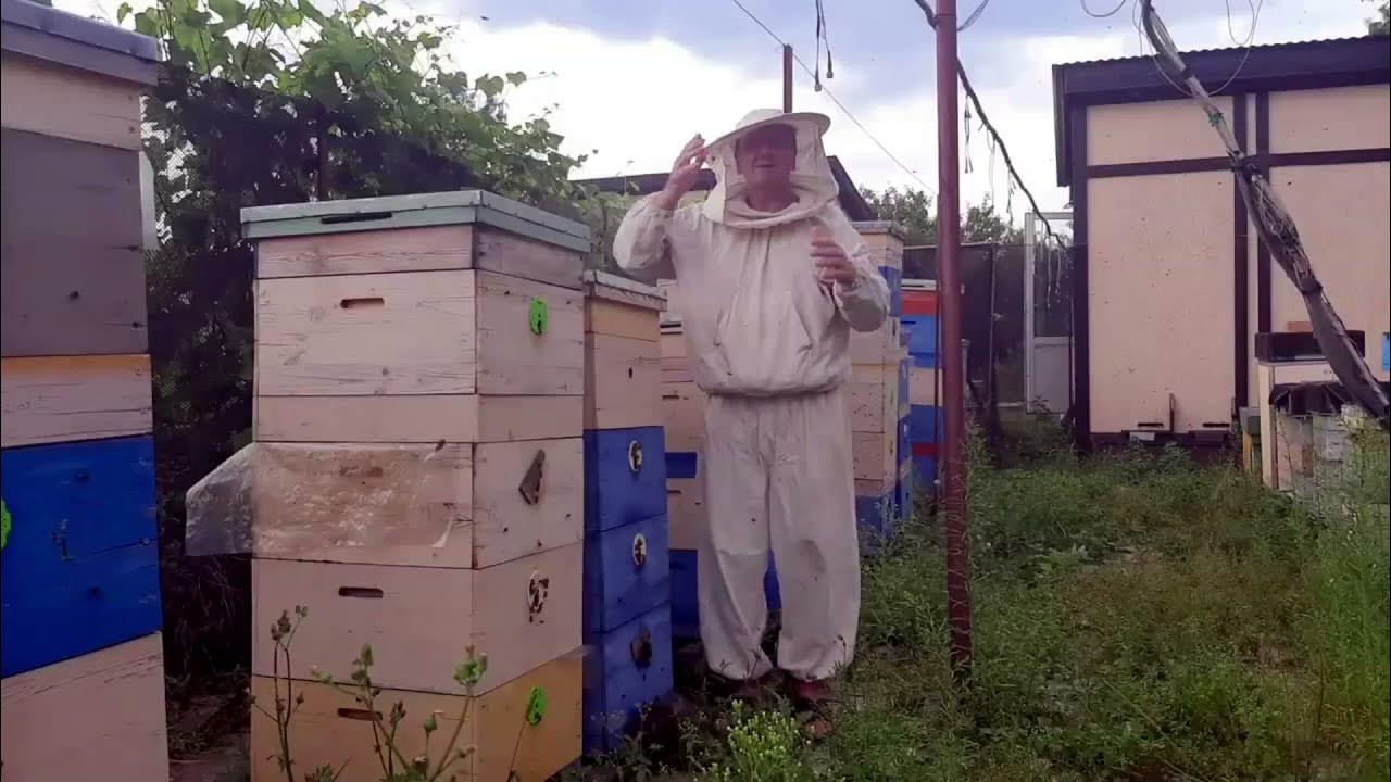 Пасечник с пчелами. Пчелиные ульи. Пасека с бородой. Пасечник пчеловод. Пасека с бородой смесь для сердца.