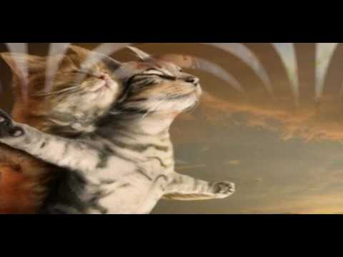 Simple Minds Let There Be Love Extended Version
