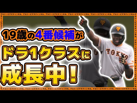 【巨人】4年後の4番候補がドラ1レベルに成長中!?打球速度が規格外なポテンシャルお化け【ティマ】選手の2023年シーズンハイライト|読売ジャイアンツ|プロ野球ニュース