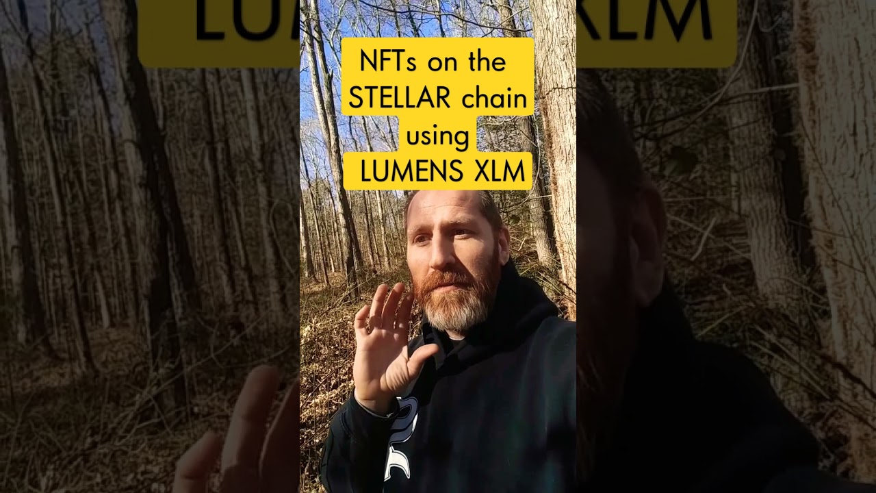 STELLAR XLM NFT ART on LITEMINT! I want it for the channel!