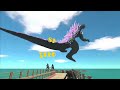 End of video