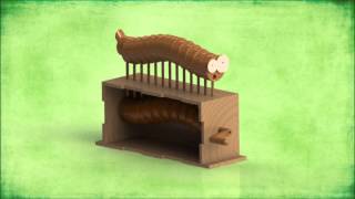 Wooden Snake Automata.
