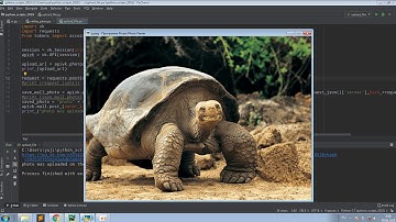 Загрузка файлов vk api python