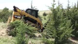 Dymax Tree Saw on Cat 299D XHP Demo 1