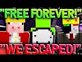 Technoblade BREAKS DREAM AND RANBOO OUT OF PRISON! (dream smp)