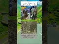 Motivational Words of great people #pti #inspirationalquotes #unfrezzmyaccount #viralvideo