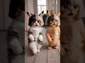 🐱💥 STOP Scrolling — Your Mood is About to CHANGE! 😭 #shorts #cats #cute