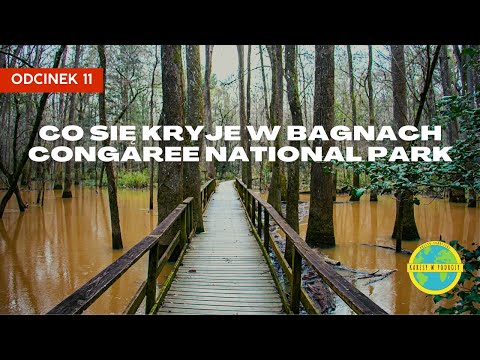 Wideo: Park Narodowy Congaree w Karolinie Południowej