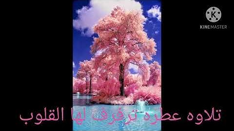 خواتيم سورة طه القارئ اسلام صبحي تلاوه عطره
