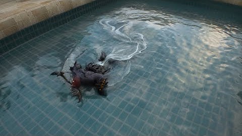 Swimming, creature render, real flow cinema 4d Arnold