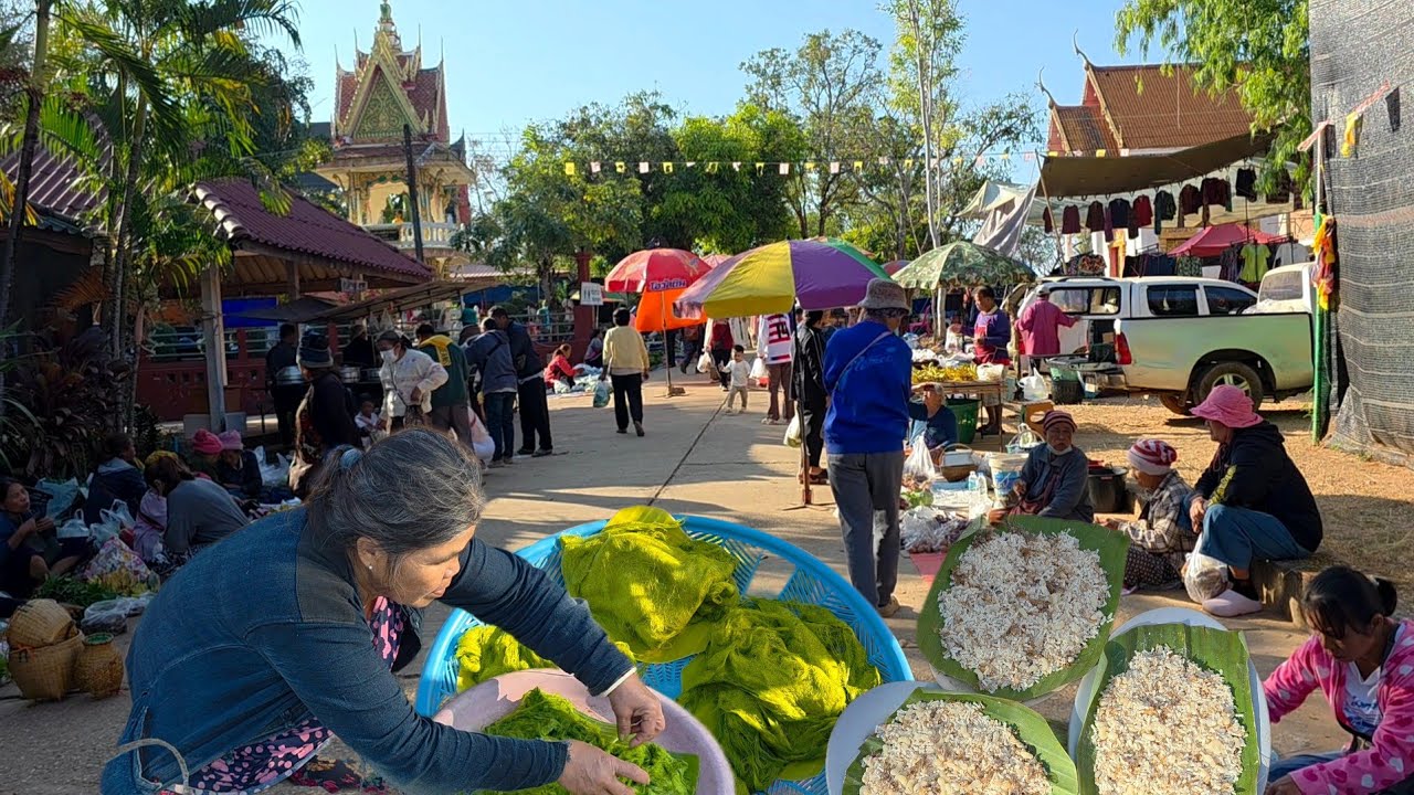 เทางามๆ ไข่มดแดง หอยขัว ตลาดเช้า อ.เขมราฐ จ.อุบลฯ#ของป่า #ไข่มดแดง #อาหารตามฤดูกาล 