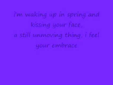 Cascada- Never Ending Dream Lyrics