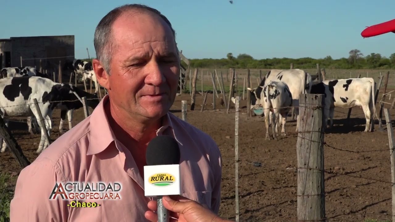 Tambo Bovino Familia Mansilla Villa Angela Provincia del Chaco Chaco Argentina