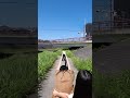 ゴムゴムのロケット (Gum Gum Rocket)