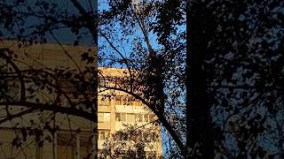 #обзор #vlog #природа #влог #солянка #события #атмосфера
