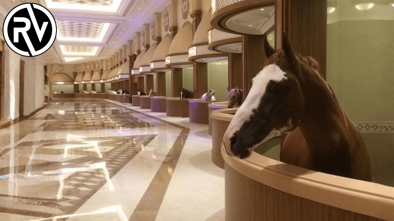 El Lujo Extremo: ¿Como vive el 1% de los Caballos?