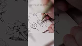How to Draw a Peony Flower
