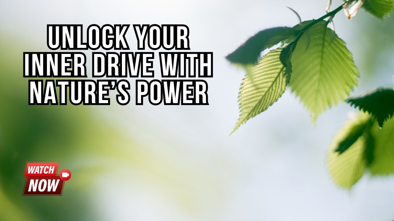 The Transformative Power of Nature: Rekindle Your Inner Drive